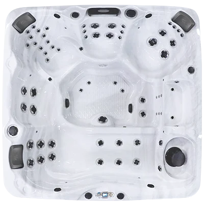 Avalon EC-867L hot tubs for sale in Thousand Oaks